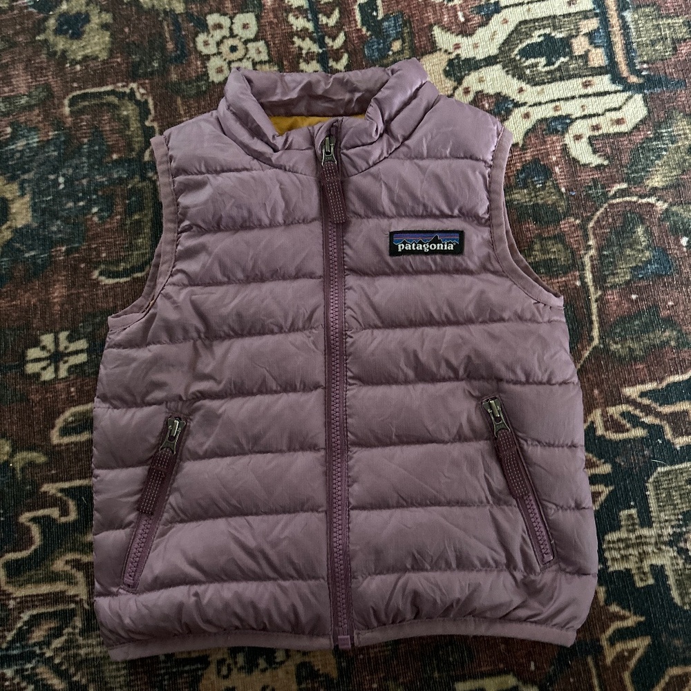 Patagonia Toddler Down Vest